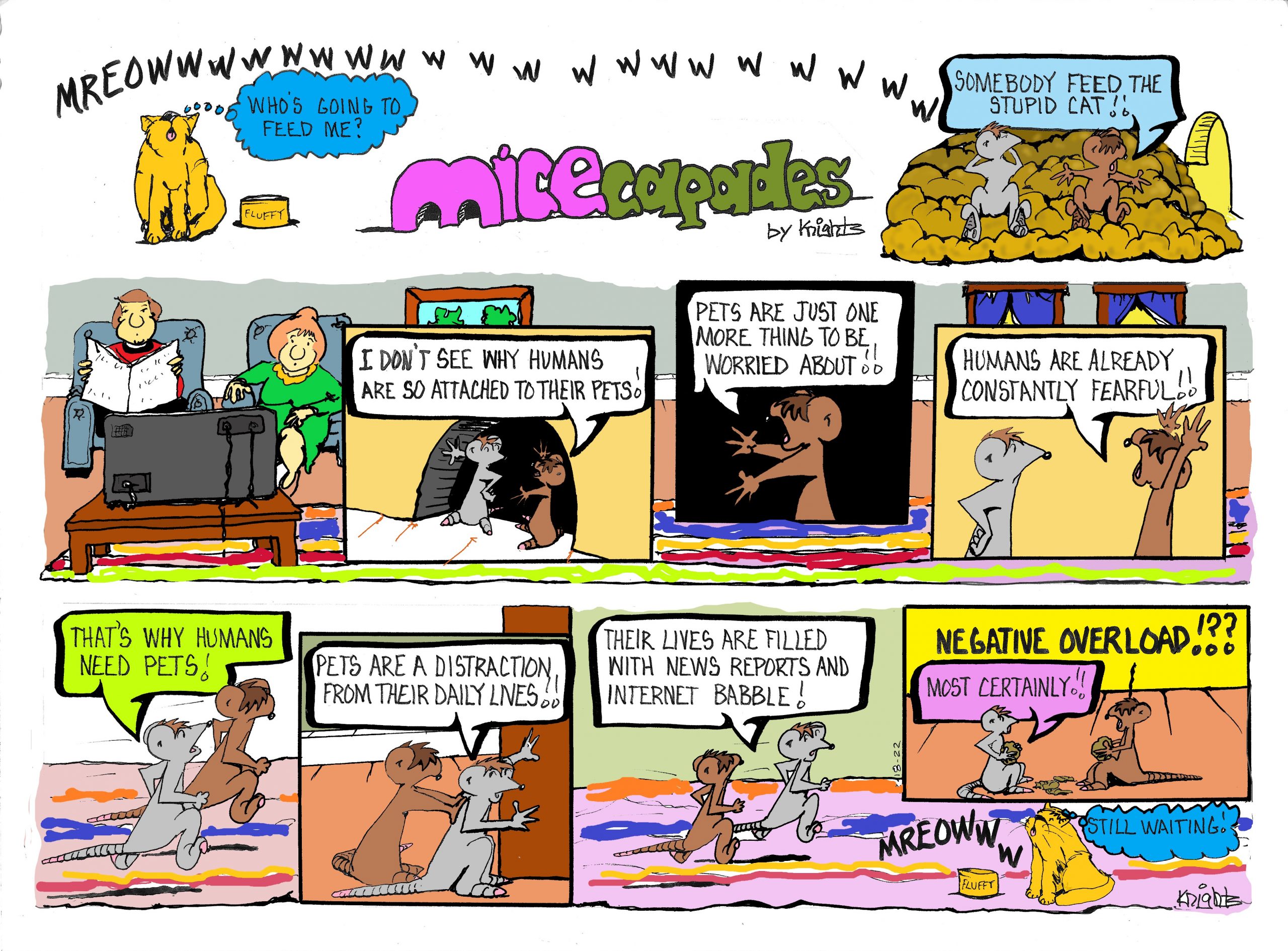 Sunday 12-18-22
