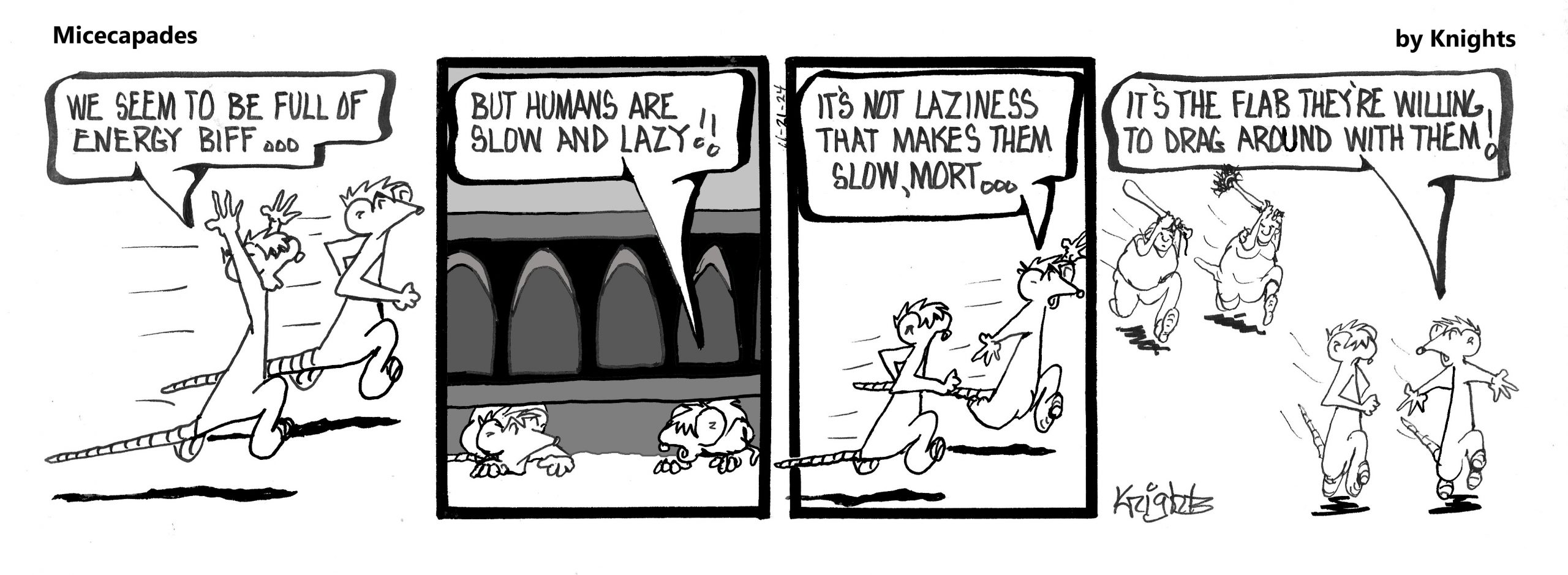 11-21-24