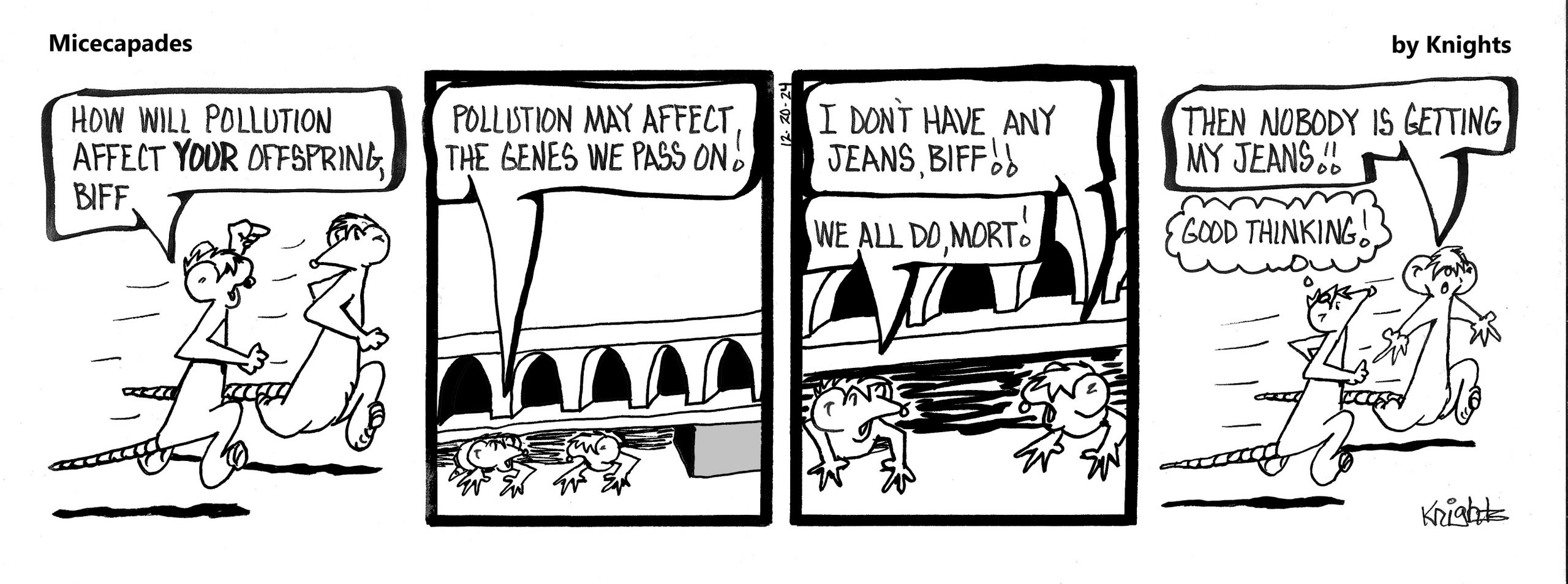 12-20-24