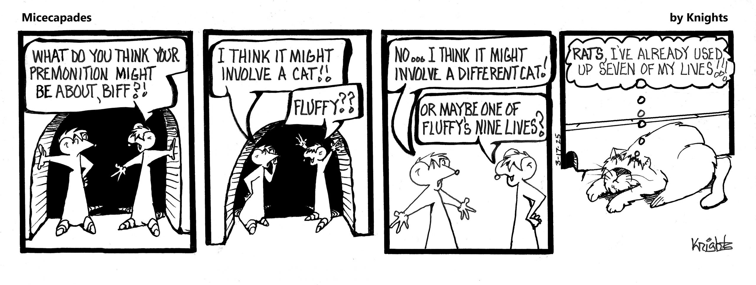 3-17-25
