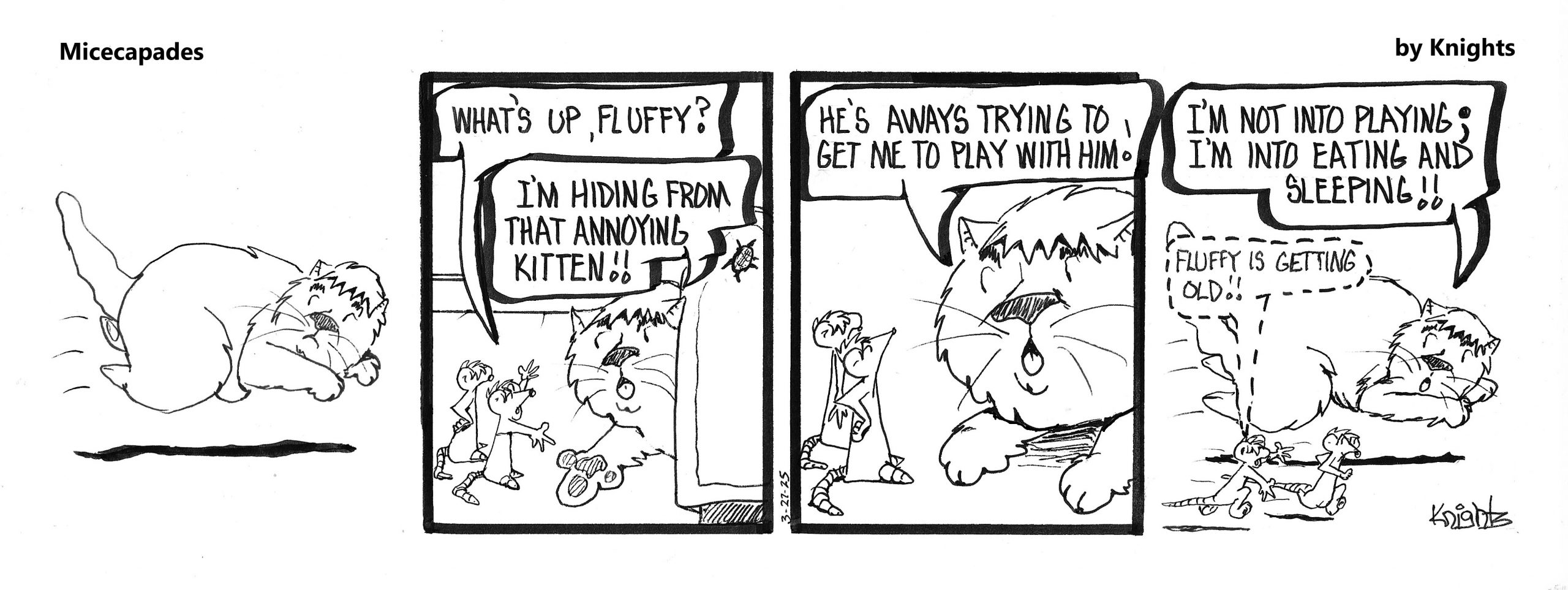 3-27-25