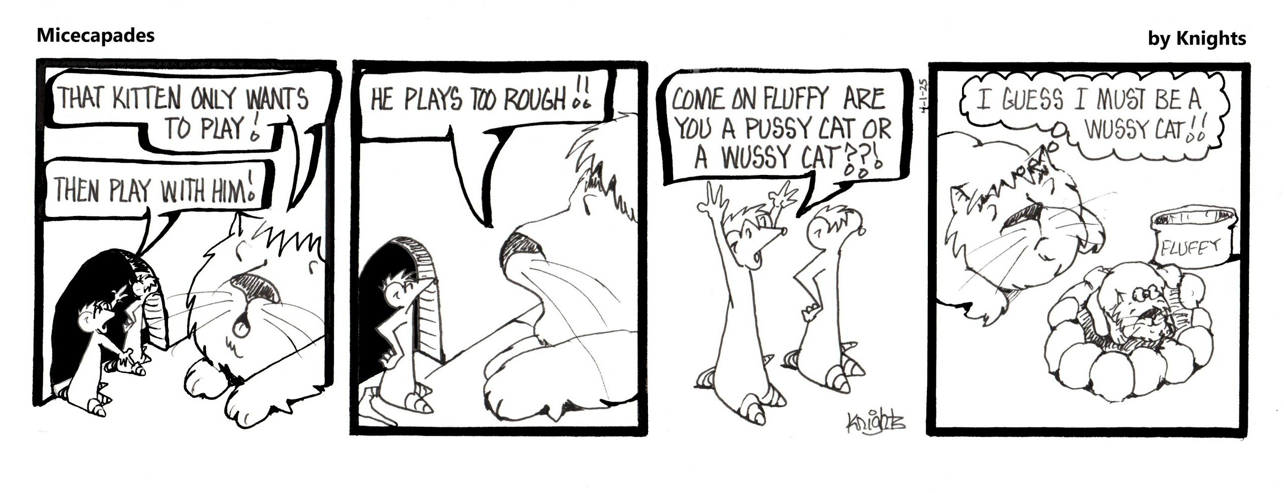 3-31-25
