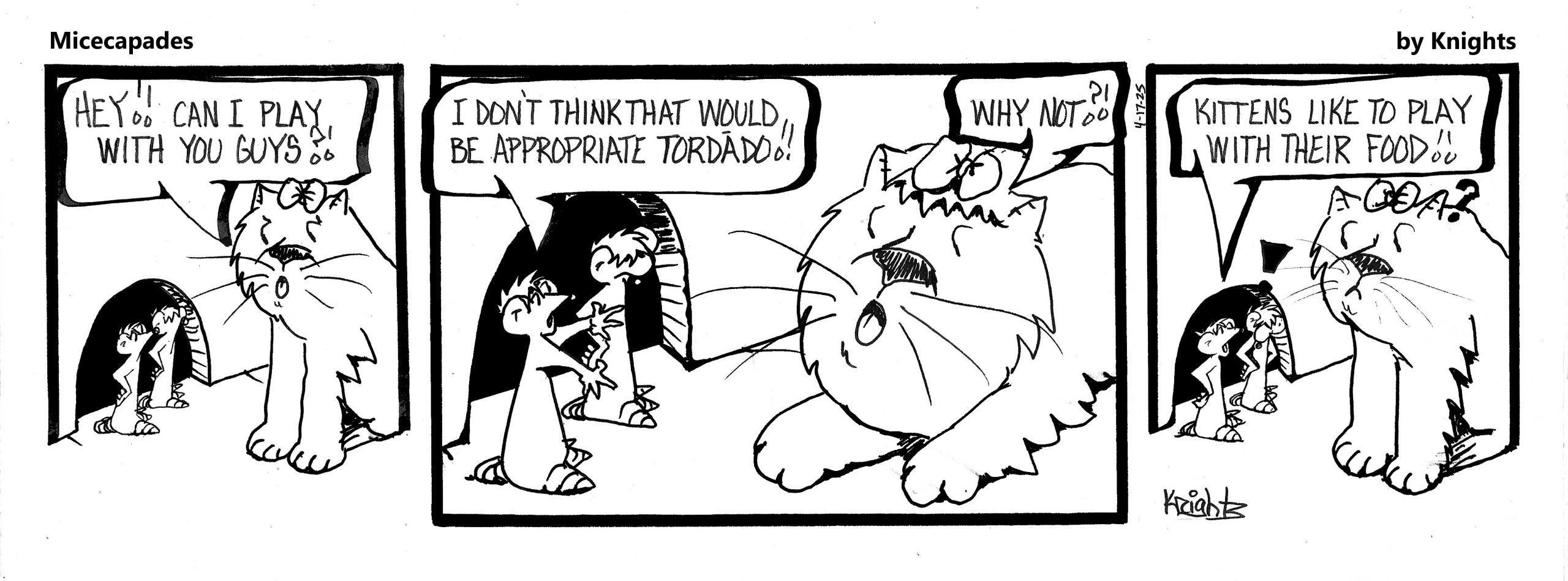 4-17-25