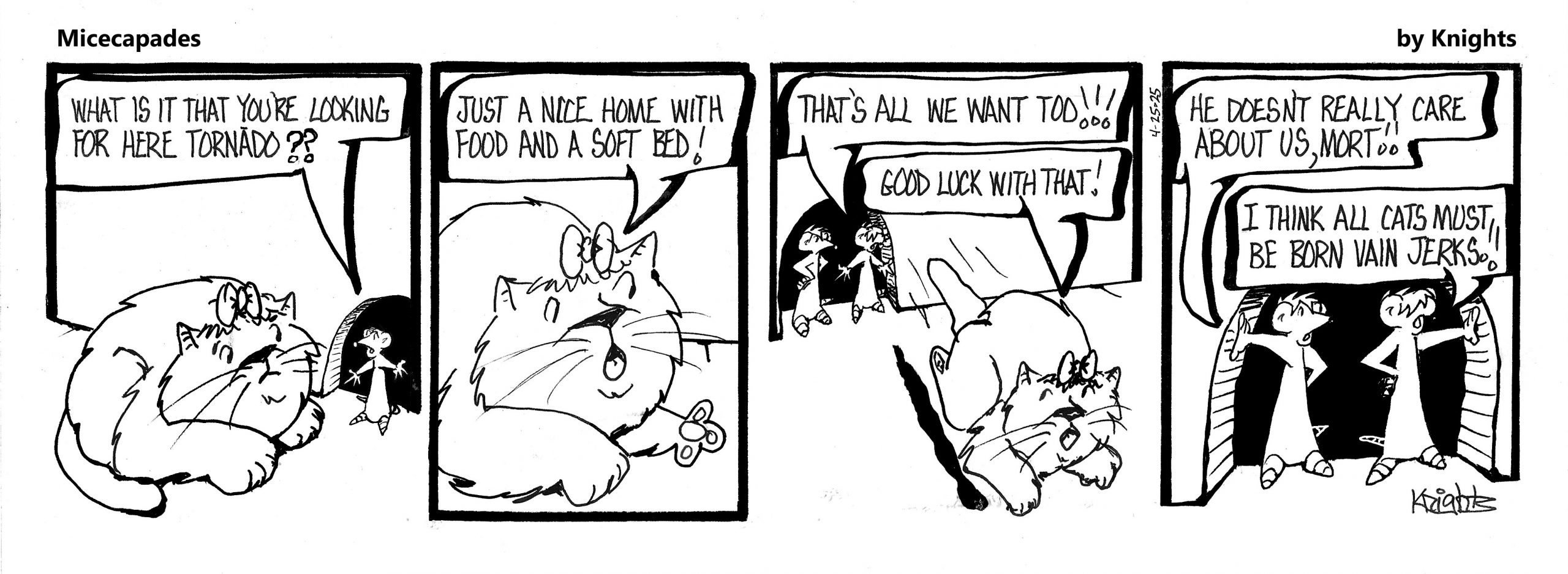 4-25-25