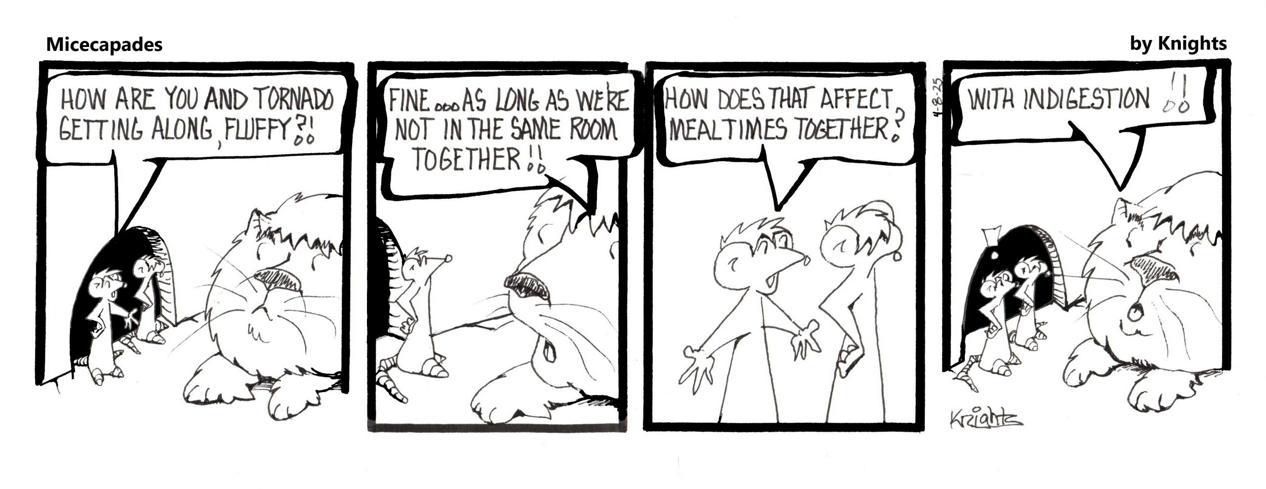 4-8-25