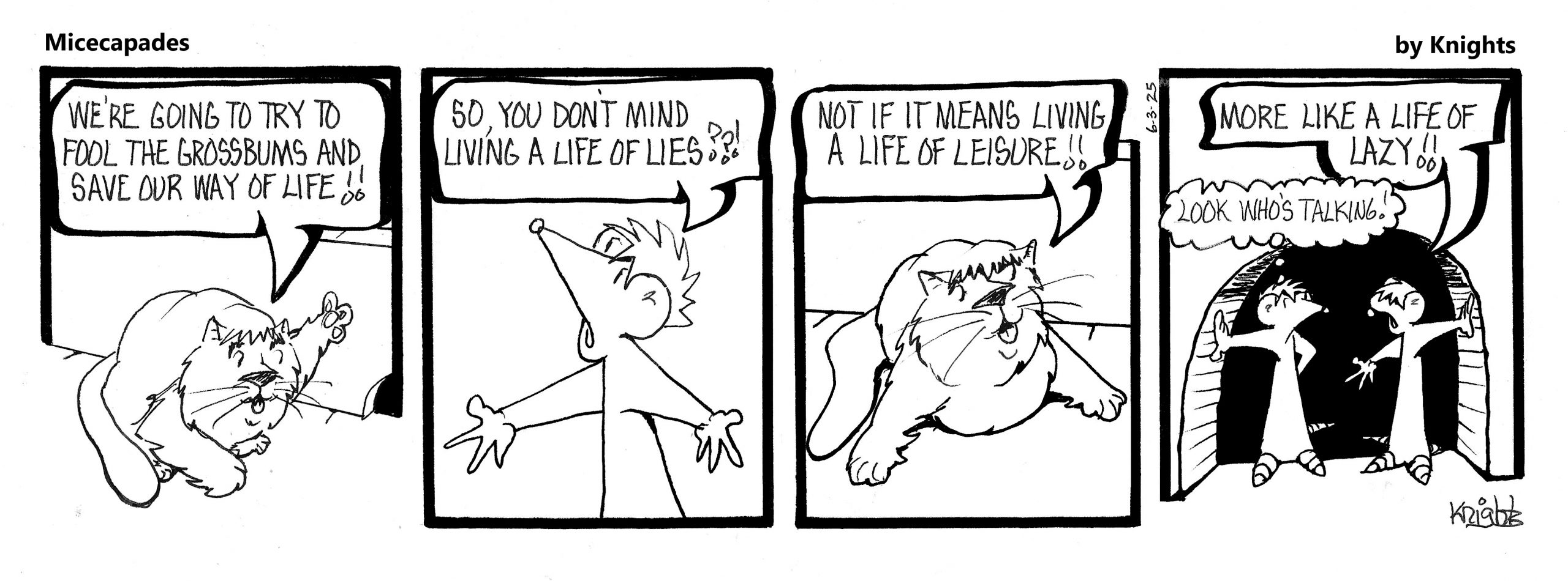 6-3-25