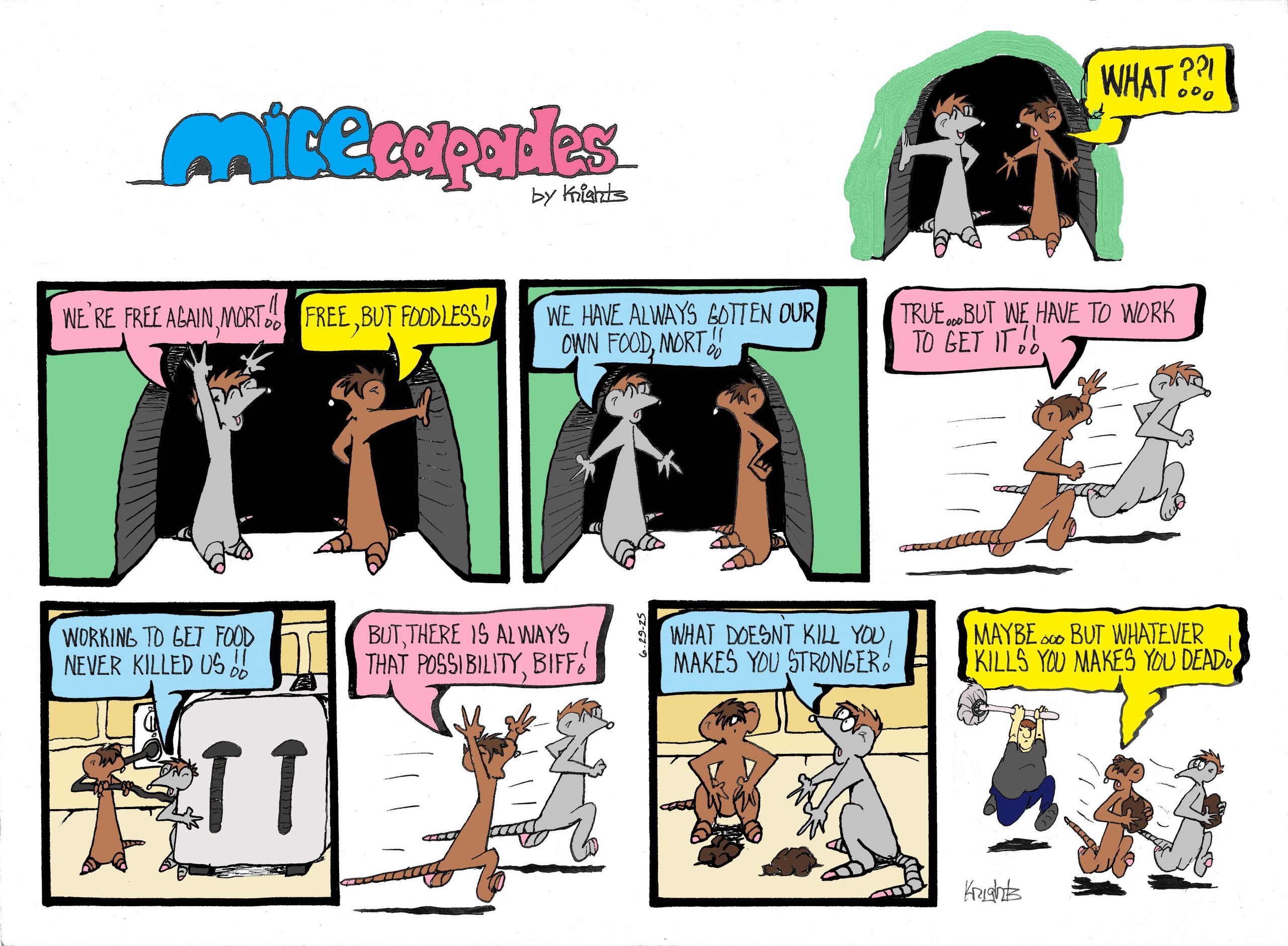 Sunday 6-29-25
