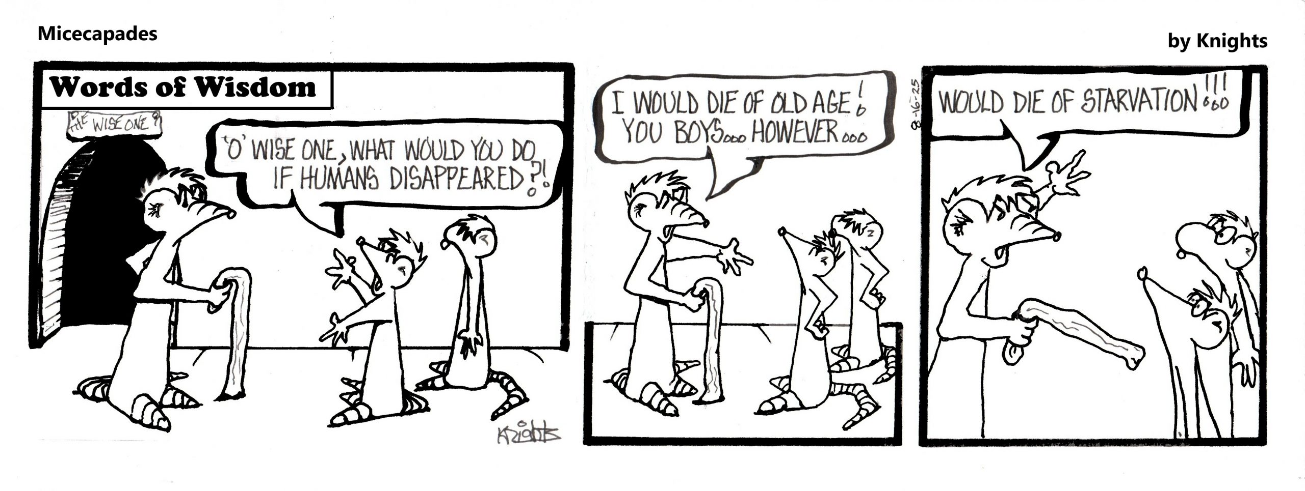 8-16-25