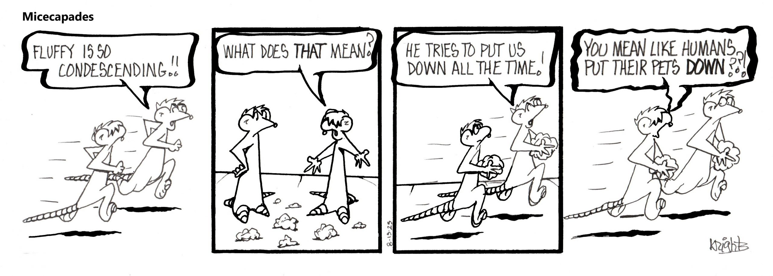 8-19-25