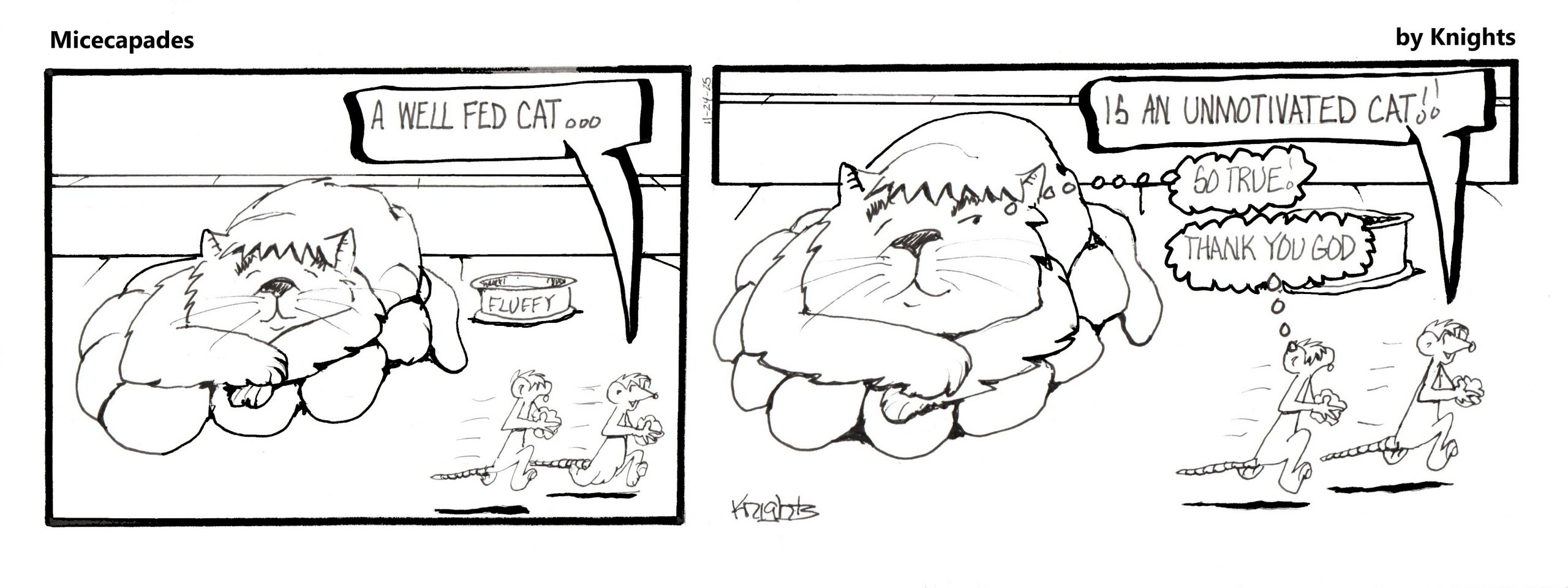 11-24-25