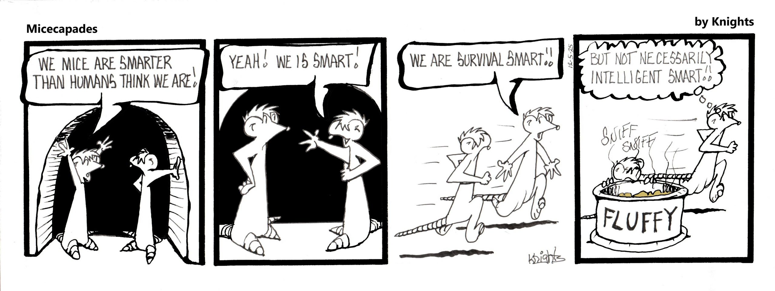 12-5-25