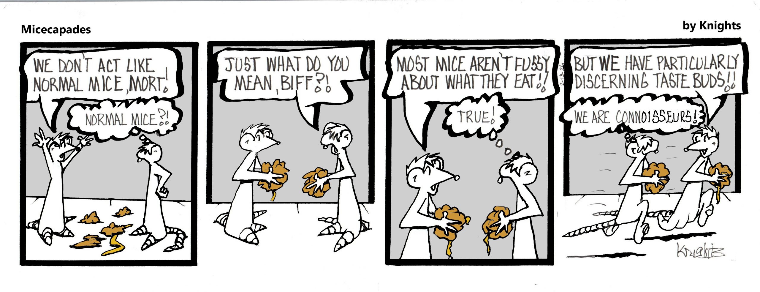 2-19-26