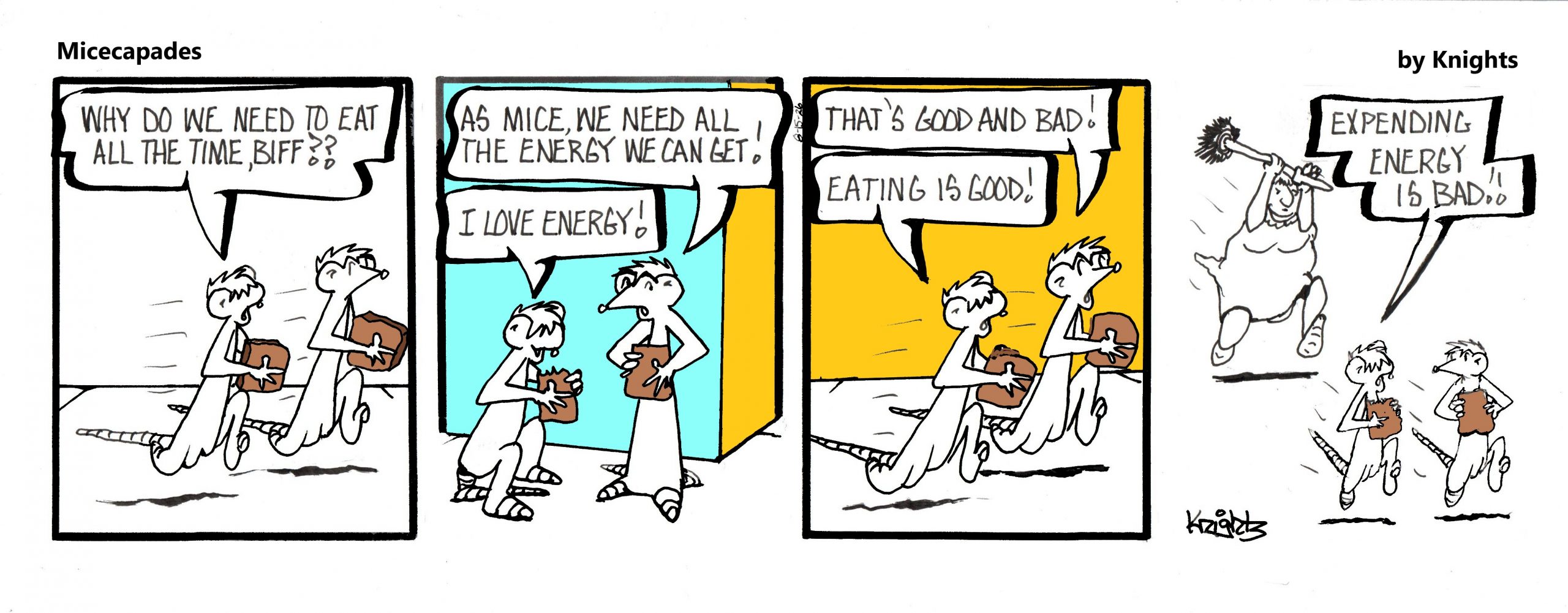 8-15-26