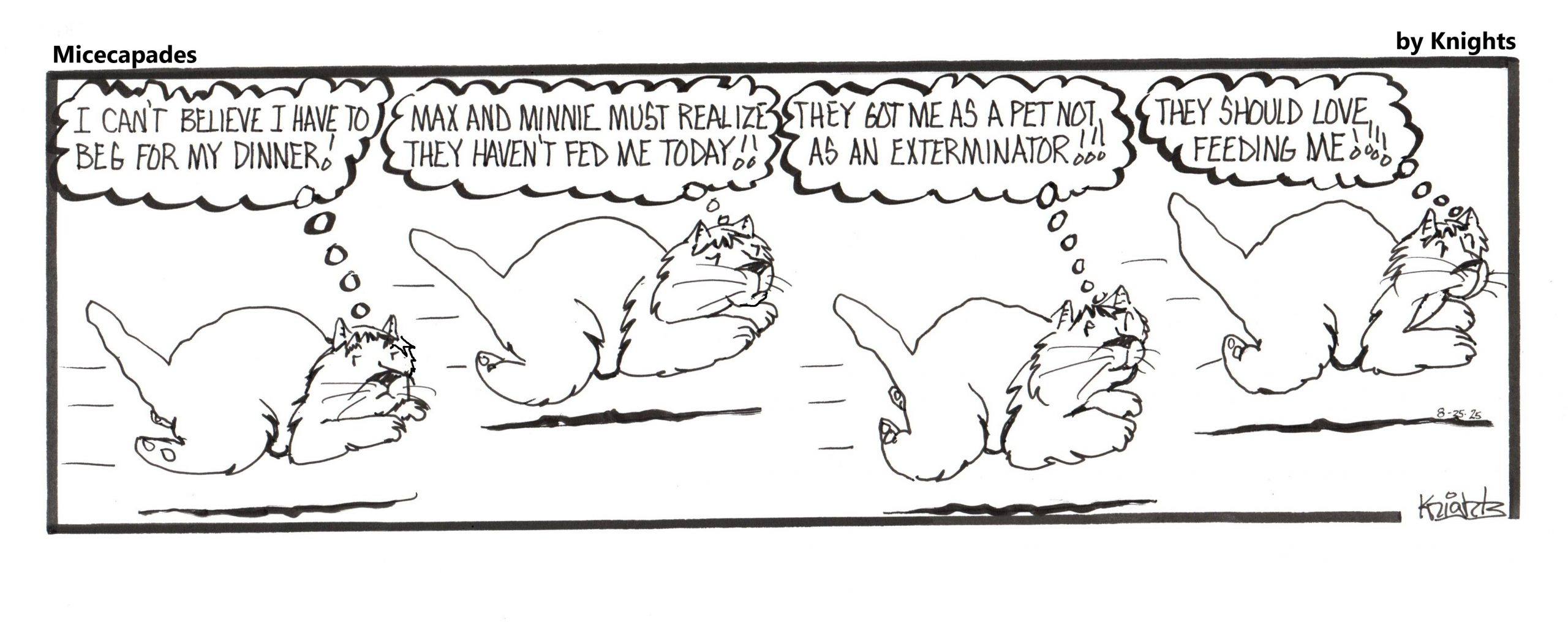 8-25-26