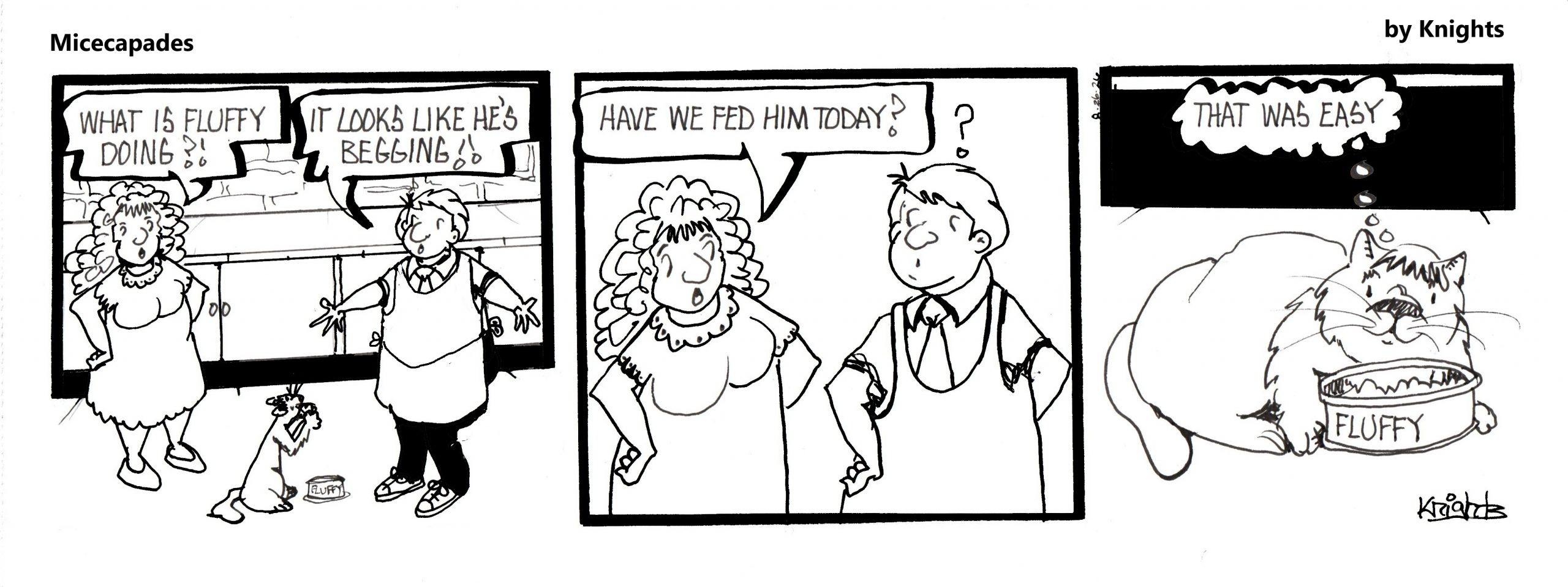 8-26-26